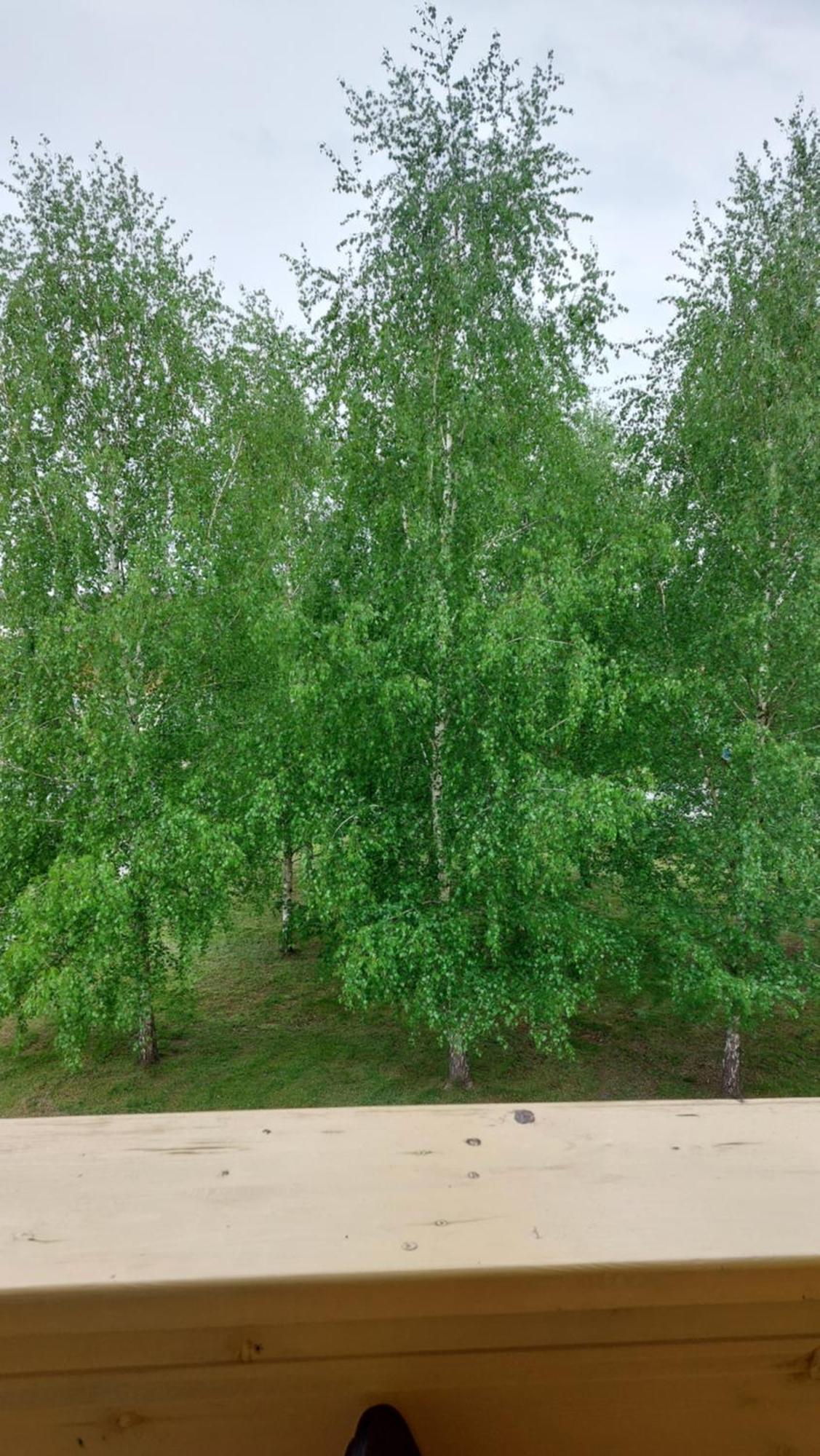 Apartamentai Gertruda Druskininkai Extérieur photo